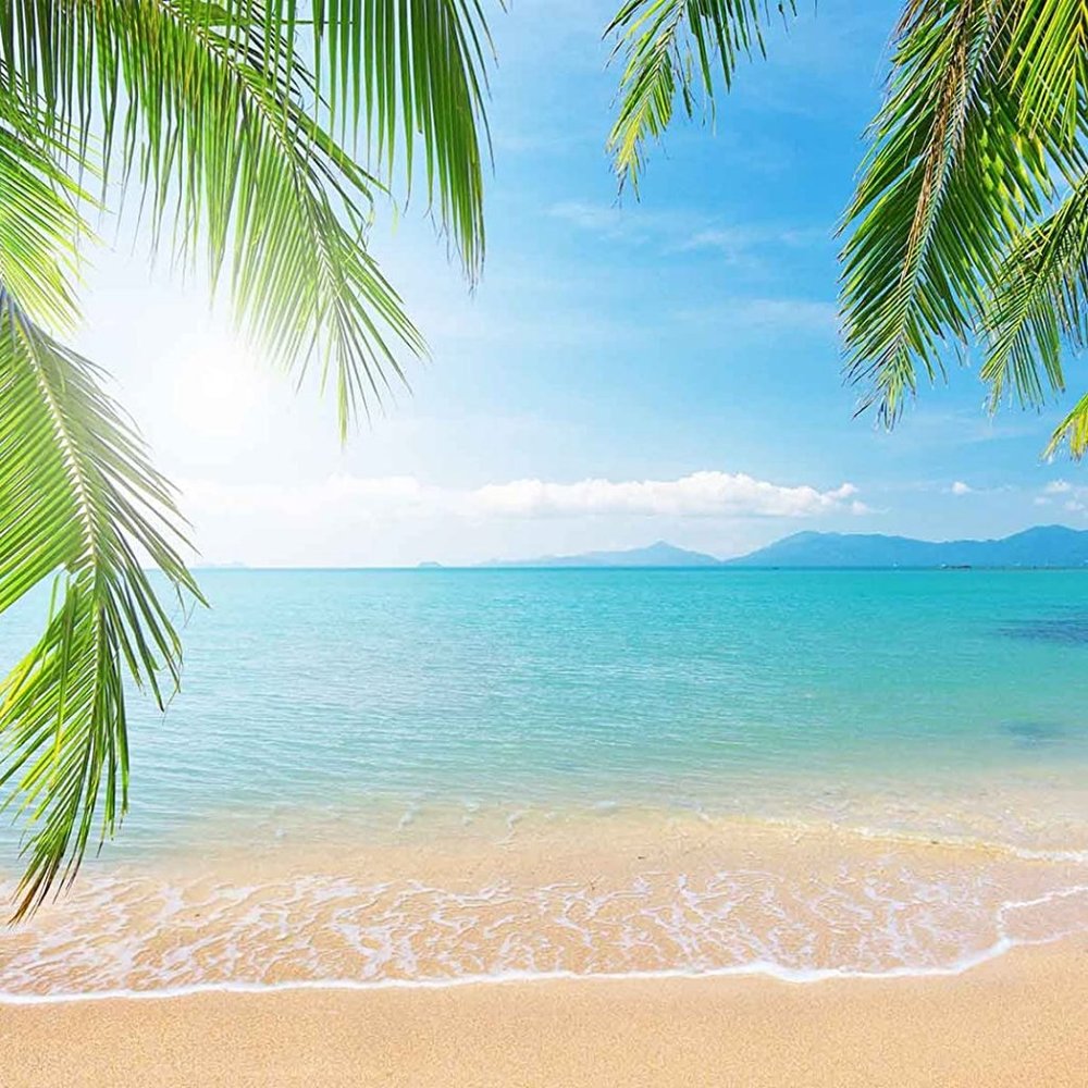 Meet your Posher, Tiana